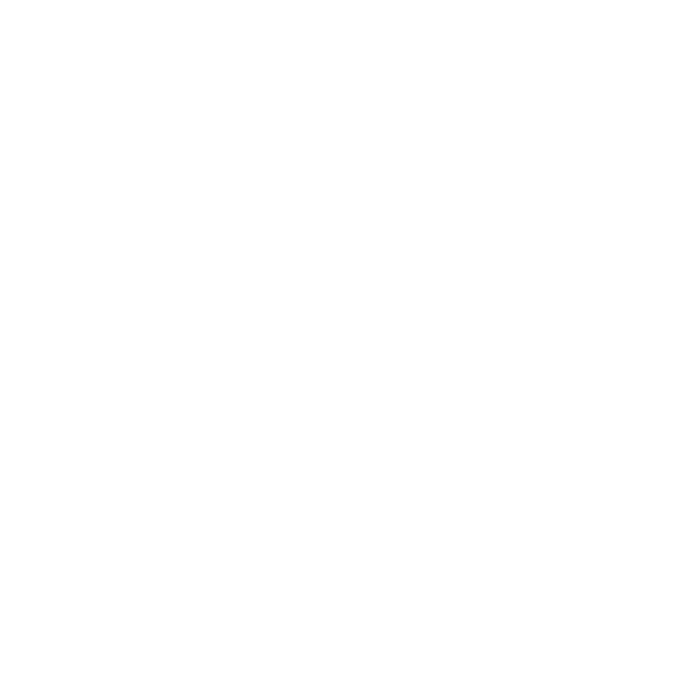 wombot studio logo